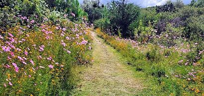 Echological Hotel Restaurante & Spa