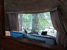 GlampOut Resort - Elk River