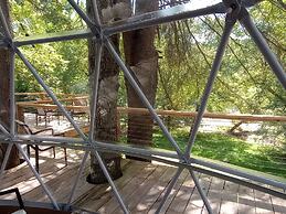 GlampOut Resort - Elk River