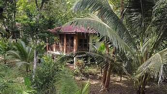 The Cabins at Monkey Fall