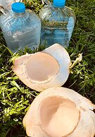 The Cabins at Monkey Fall