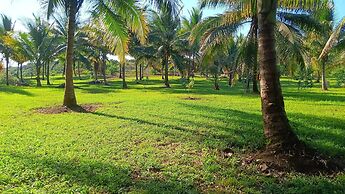 The Cabins at Monkey Fall