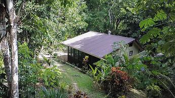 The Cabins at Monkey Fall