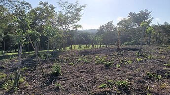 The Cabins at Monkey Fall