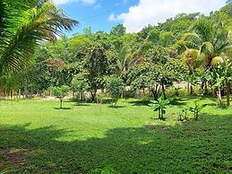The Cabins at Monkey Fall