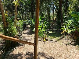 The Cabins at Monkey Fall