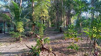 The Cabins at Monkey Fall