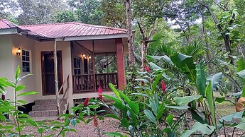 The Cabins at Monkey Fall