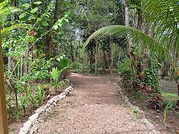 The Cabins at Monkey Fall