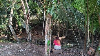 The Cabins at Monkey Fall