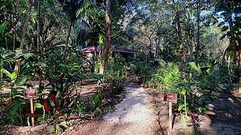 The Cabins at Monkey Fall