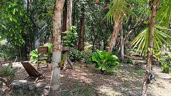 The Cabins at Monkey Fall
