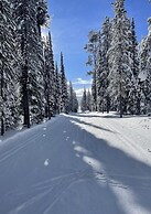 Travellers Rest Cabins and RV Park