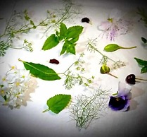 Country House Monastero le Grazie