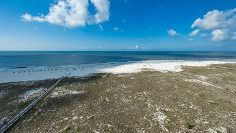 Phoenix VII by Brett/Robinson Vacations