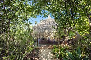 Coral Estate Holidays