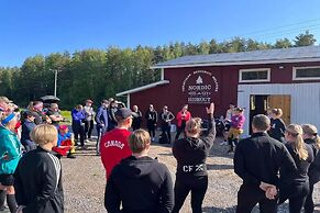 Nordic Island Hideout