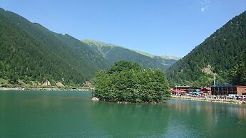 ismail yılmaz apart