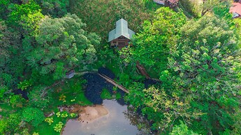 Manantiales del Campo