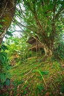 Manantiales del Campo