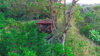 Manantiales del Campo