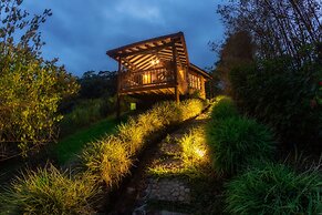 Manantiales del Campo