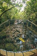 Manantiales del Campo