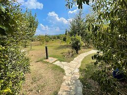 Exclusive Pool - Wondrous Views - Biological Gardens - Pool House - 12