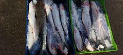 Luxurious House in Morocco Overlooking the Mediterranean Sea