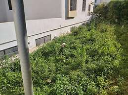 Ideal Appart Ain Zaghouan Tunis