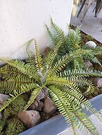 JUNIBINO HOTEL Hongdae