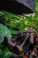 Cerro Tusa Springs
