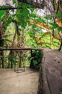 Cerro Tusa Springs