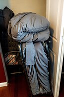 DTWN luxury condo 99 percent Walk score