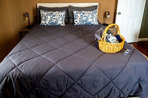 DTWN luxury condo 99 percent Walk score