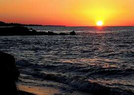 Anastasias House, Zipari