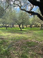 Magnificent Villa Between Etna and the sea With Breathtaking Views of 