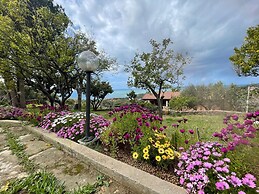 Cilento Apartment in Villa With sea Views