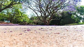 Crest Farm - Self-catering 2-bedroom, Wi-fi, Views, Swiming Pool