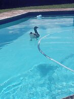 Crest Farm - Self-catering 2-bedroom, Wi-fi, Views, Swiming Pool