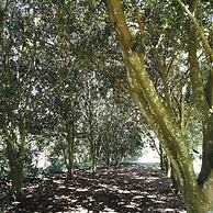 Crest Farm - Self-catering 2-bedroom, Wi-fi, Views, Swiming Pool