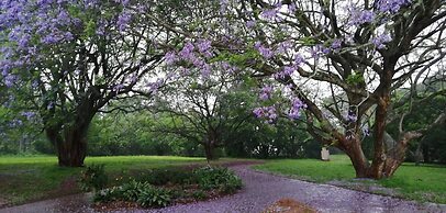 Crest Farm - Self-catering 2-bedroom, Wi-fi, Views, Swiming Pool