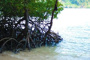 B201-nice Seaview One Bedroom Apartment 300 Meters Walk to Ao Nang Bea