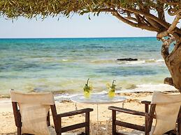 Sanders Only Limassol