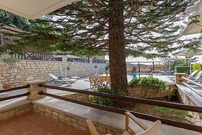 Amazing Villas in Crete - Argiris Villa