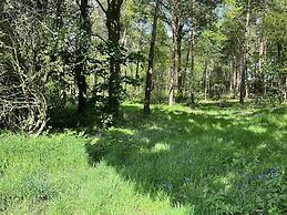 Cedar Boutique Lodge-dog, Fishing and Spa Access