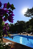 Hotel Restaurant Papillon