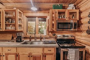 81sl - Hot Tub - Wifi - Pets Ok - Sleeps 4