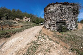 Podere del Ciacchi Among Tuscany Greenery