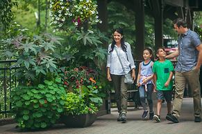 Remodeled 2br Condo, Private Balcony With Beaver Creek Mountain View, 